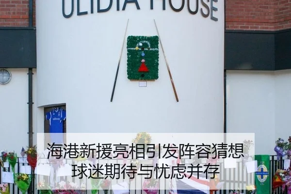 海港新援亮相引发阵容猜想 球迷期待与忧虑并存